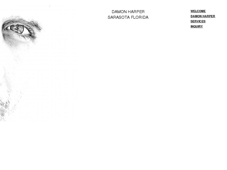 www.damonharper.com