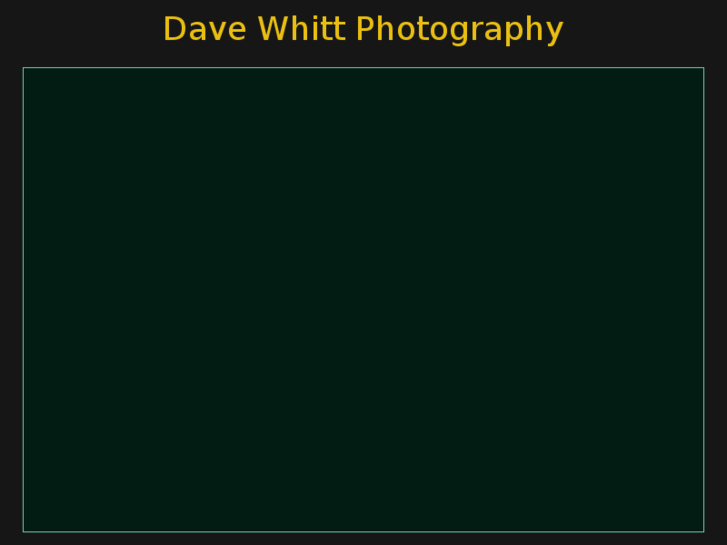 www.davewhitt.com