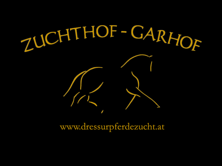 www.dressurpferdezucht.com