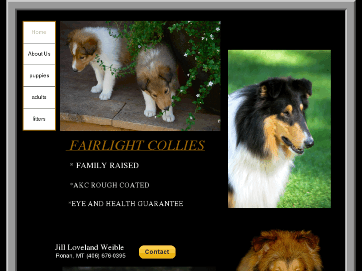 www.fairlightcollies.com