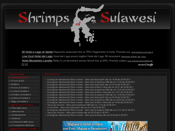 www.shrimpsofsulawesi.info