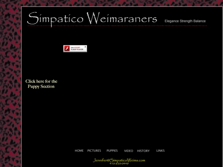 www.simpaticoweimaraners.com