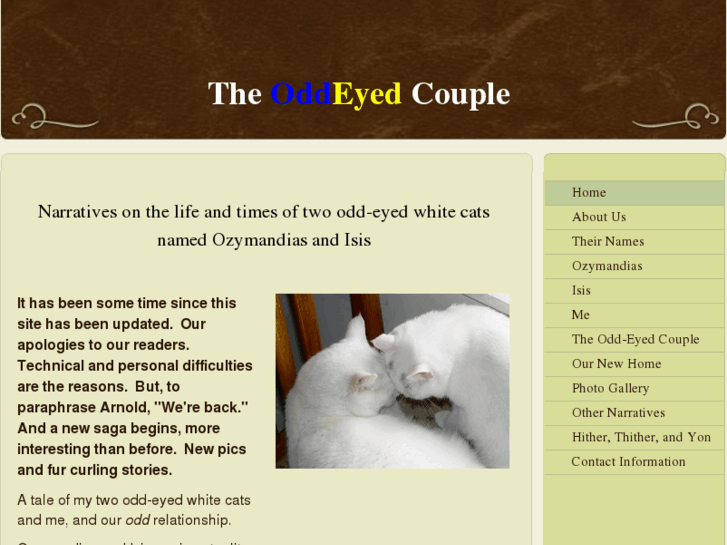 www.theoddeyedcouple.com