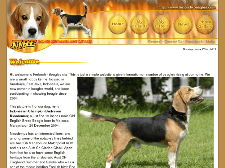 www.ferlorch-beagles.com