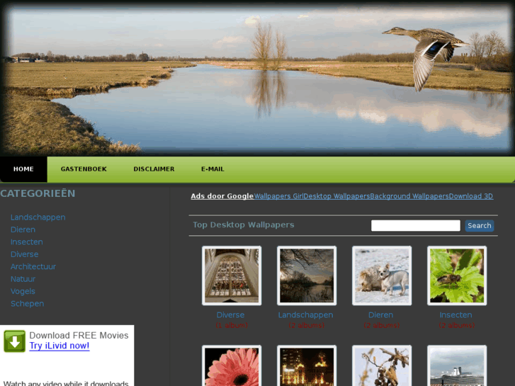 www.free-wallpapersfree.nl