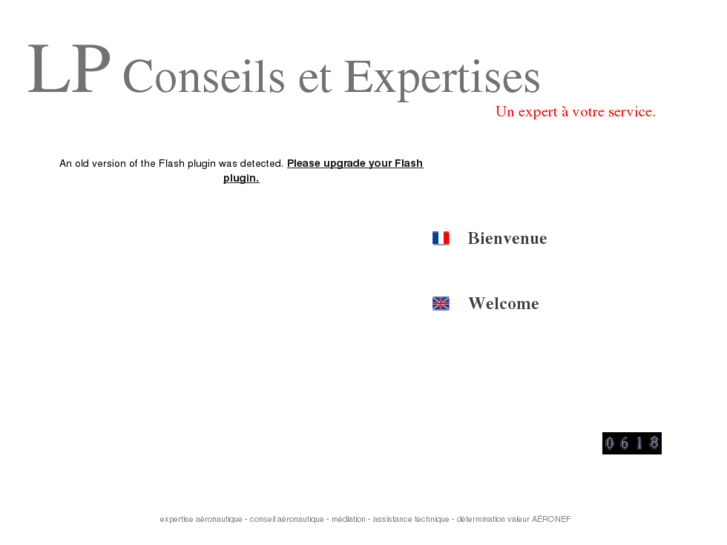 www.lpconseils-expertises.com