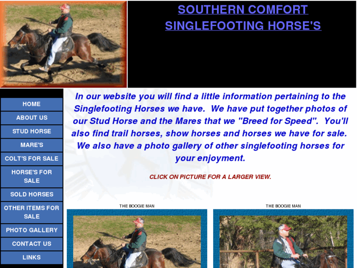 www.ridingfasthorses.com