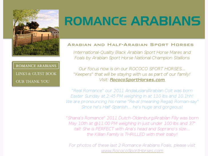 www.romancearabians.com