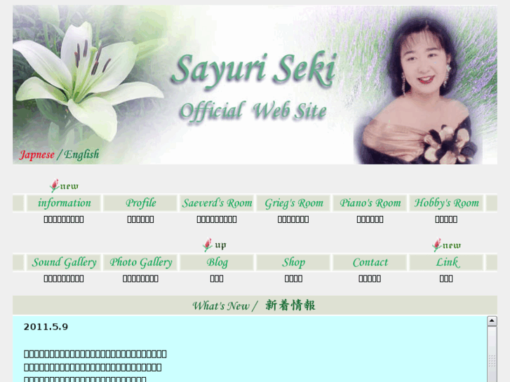 www.sayulin.com