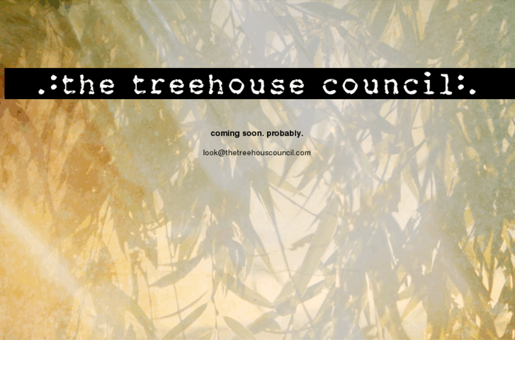 www.thetreehousecouncil.com