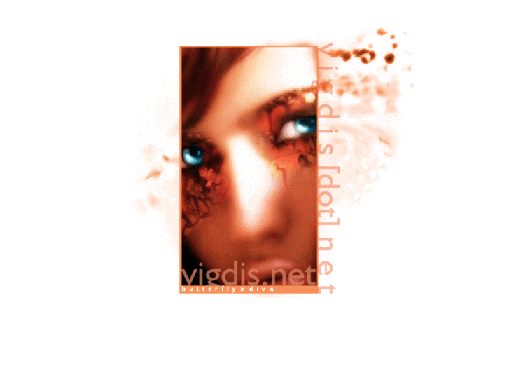 www.vigdis.net
