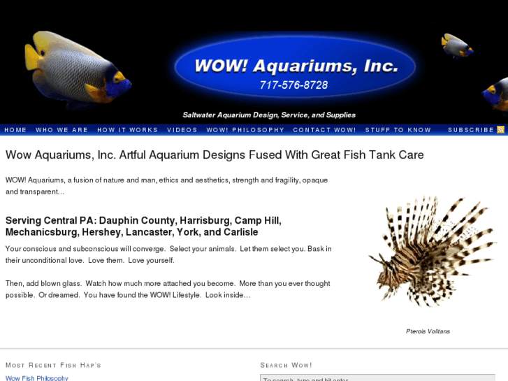 www.wowaquariums.com