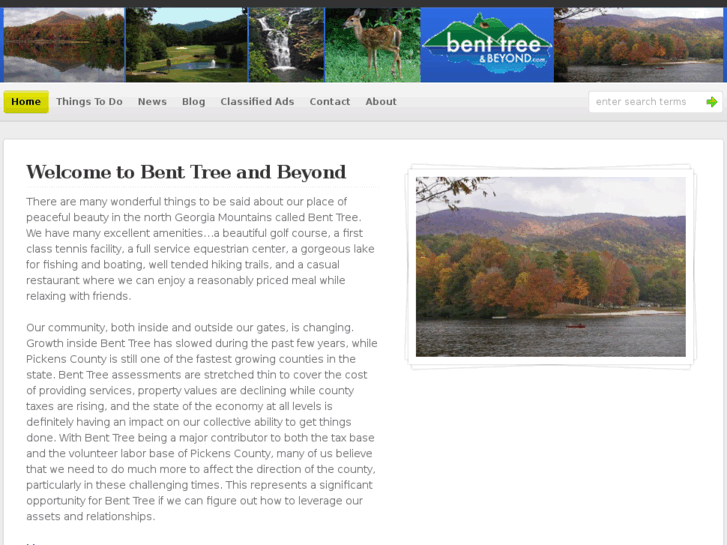 www.benttreeandbeyond.com