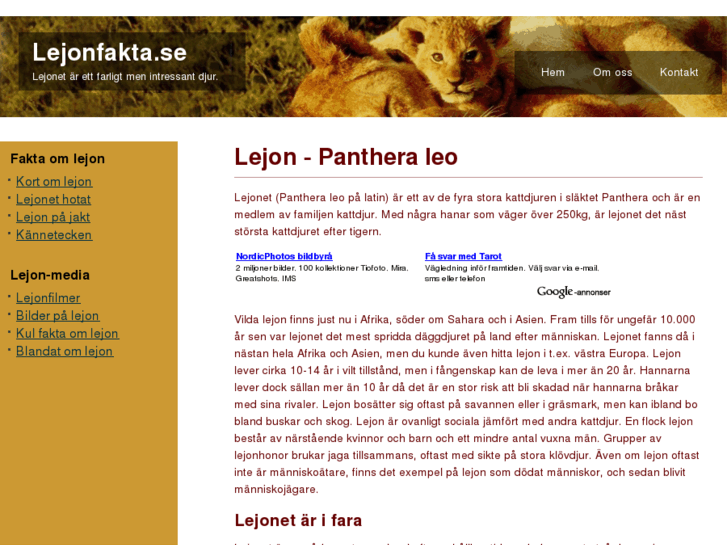 www.lejonfakta.se