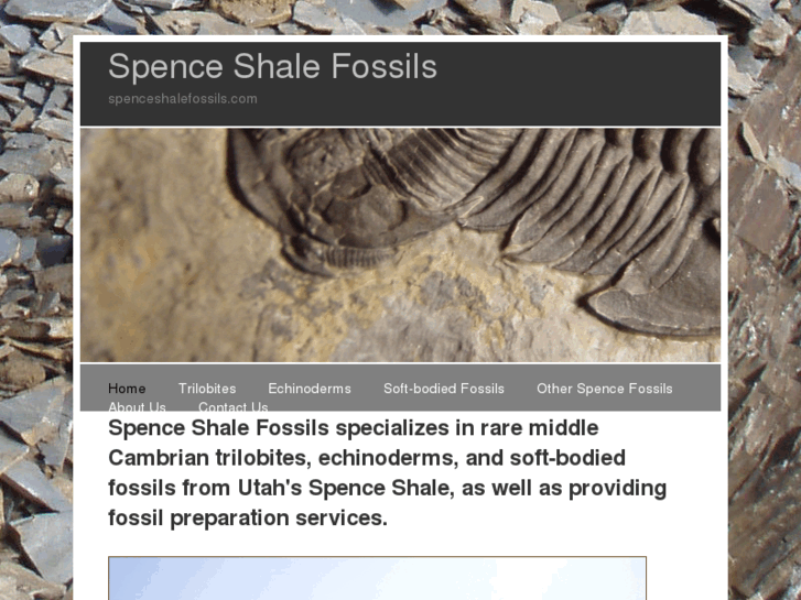 www.spenceshalefossils.com