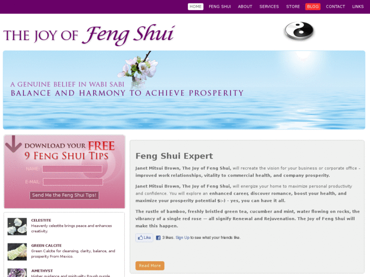 www.thejoyoffengshui.com