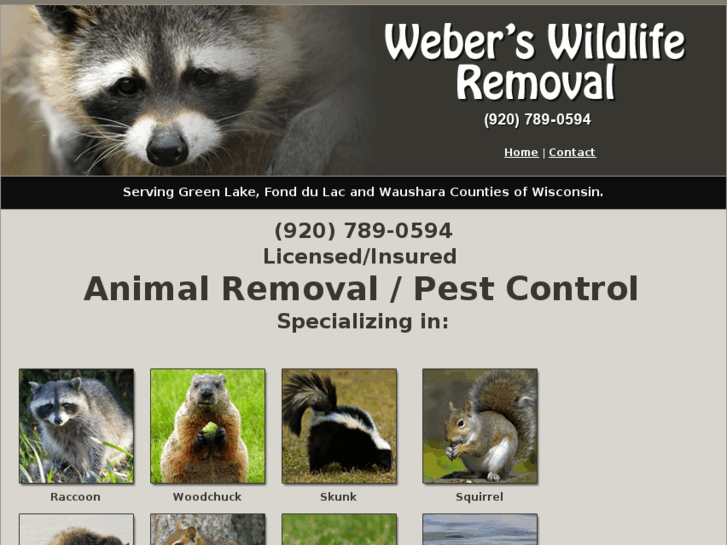 www.weberswildliferemoval.com