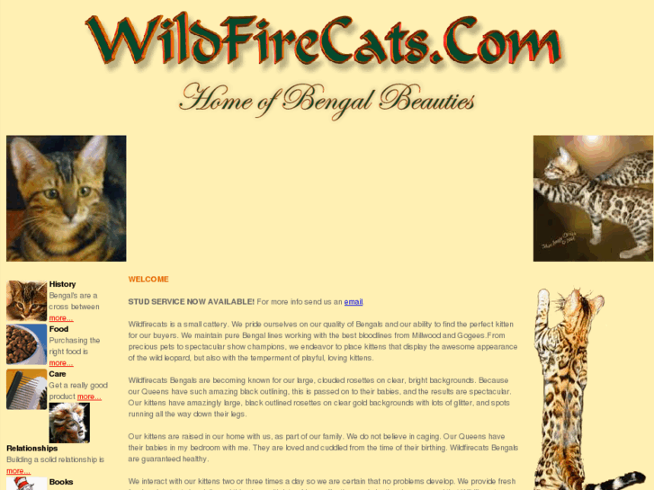 www.wildfirecats.com