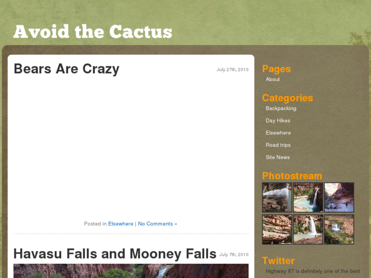 www.avoidthecactus.com