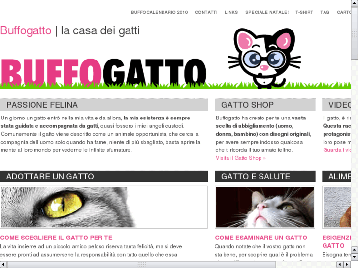 www.buffogatto.com