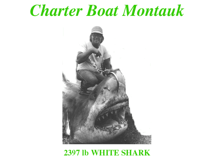 www.charterboatmontauk.com