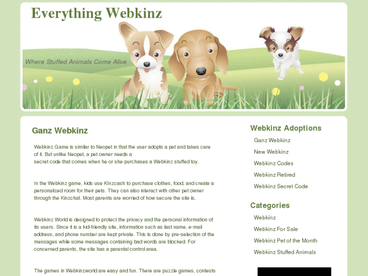 www.everythingwebkinzs.com