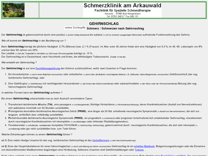 www.gehirnschlag.de