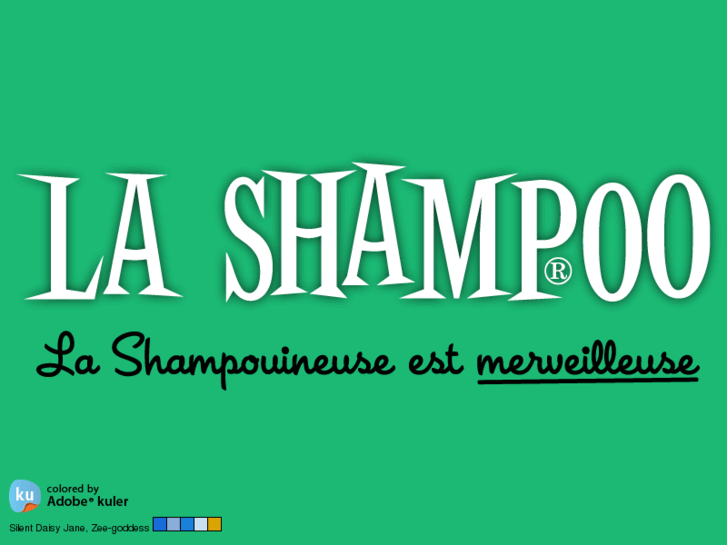 www.lashampoo.com