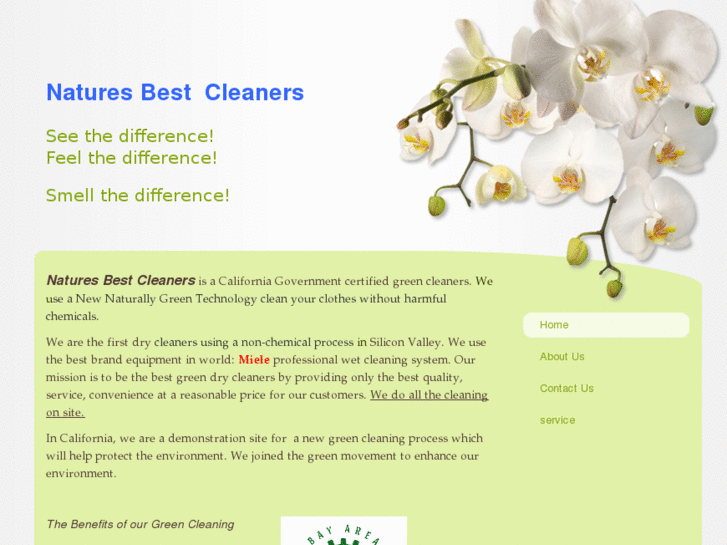 www.realgreencleaners.com