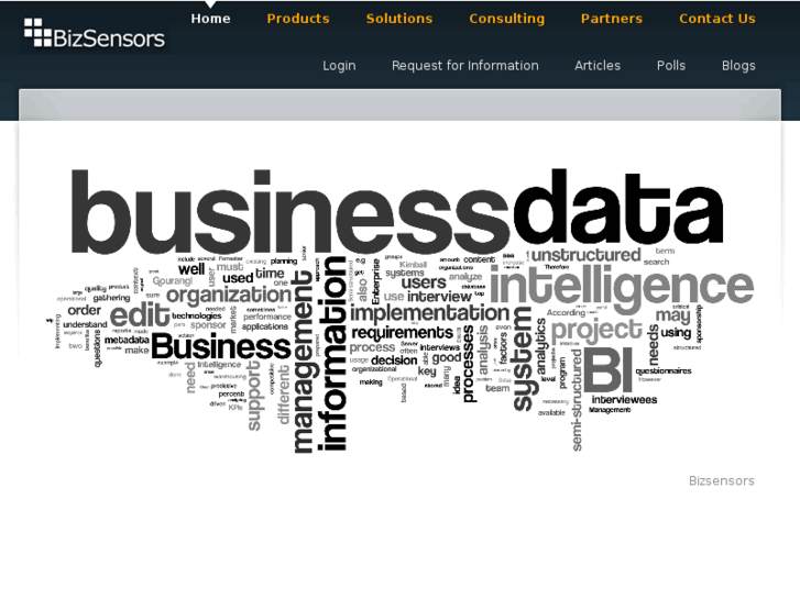 www.bizsensors.com
