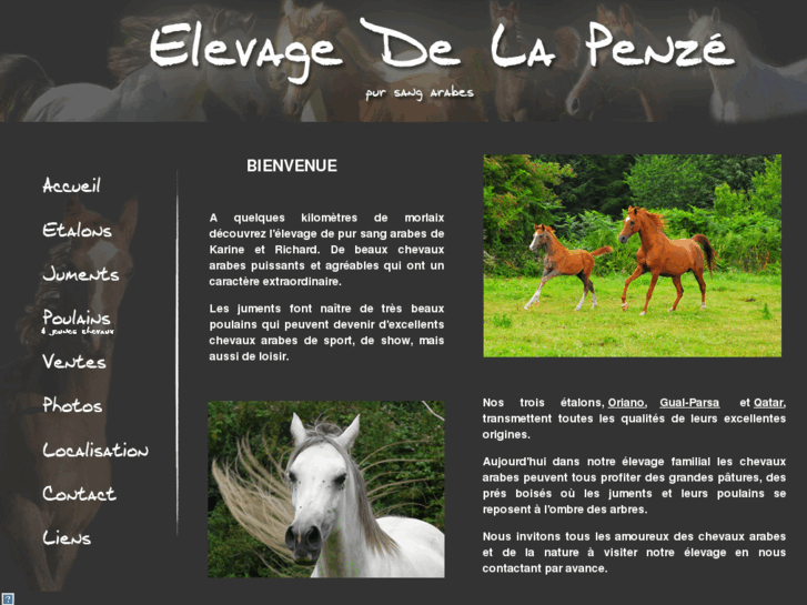 www.chevaux-arabes.com