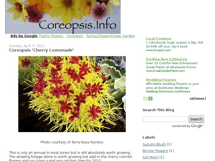 www.coreopsis.info