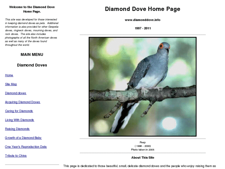 www.diamonddove.info