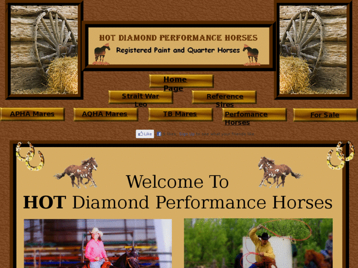 www.hotdiamondperformancehorses.com