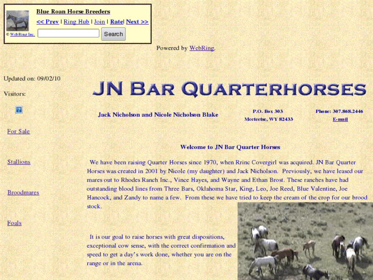 www.jnbarquarterhorses.com