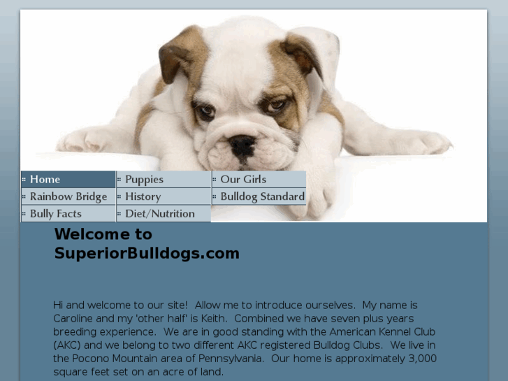 www.superiorbulldogs.com