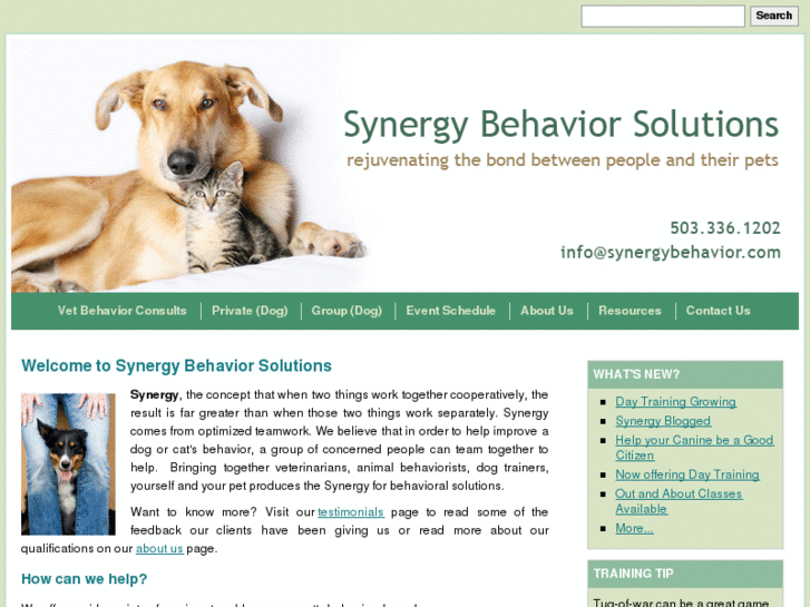 www.synergybehavior.com