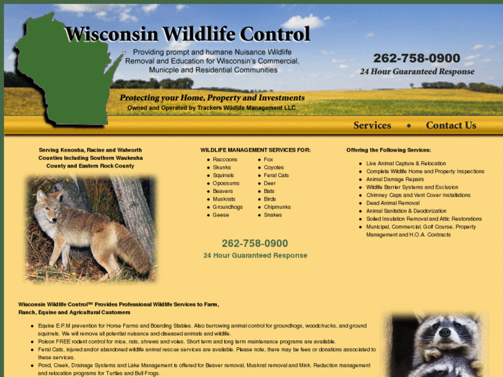 www.wisconsinwildlifecontrol.com