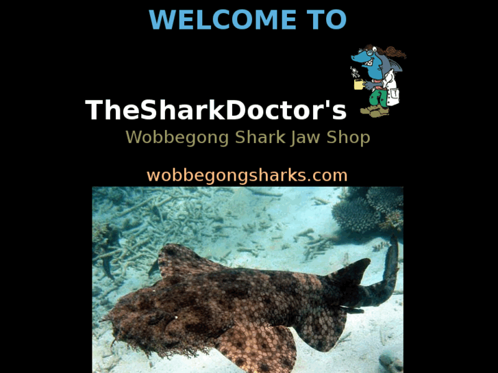 www.wobbegongsharks.com