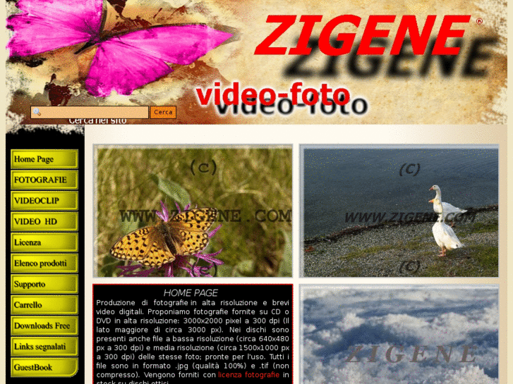 www.zigene.com