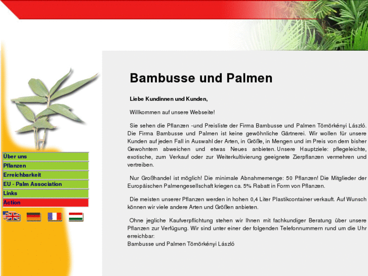 www.bambusseundpalmen.com