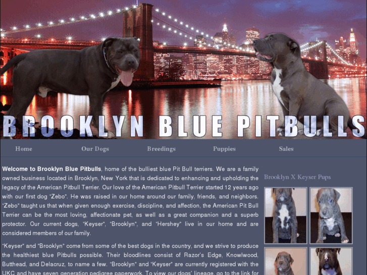 www.brooklynbluepitbulls.com