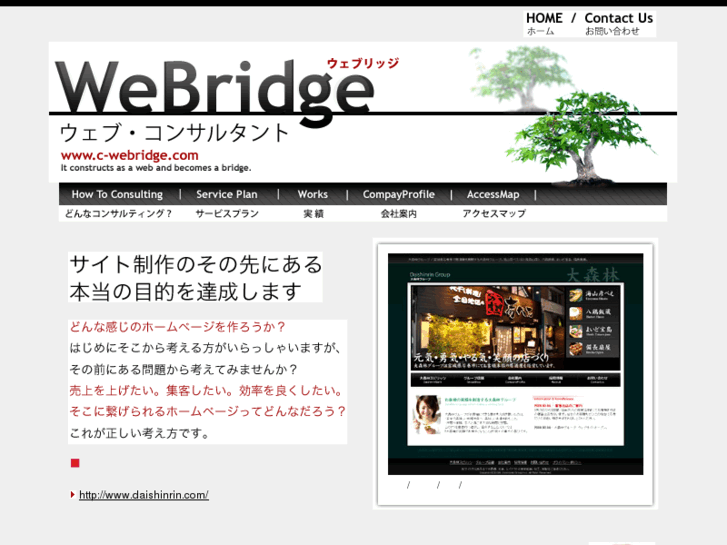 www.c-webridge.com