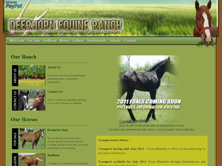 www.deerhornequineranch.ca