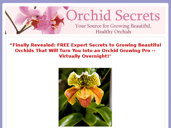 www.orchidsecrets.info