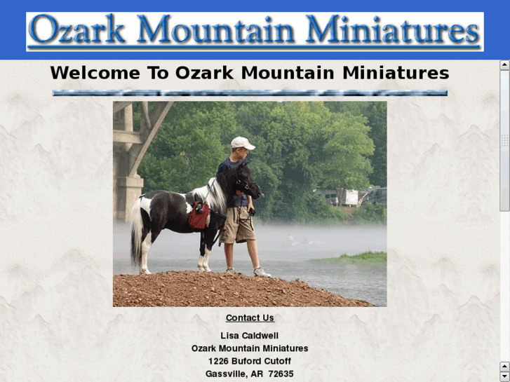 www.ozarkmountainminis.com