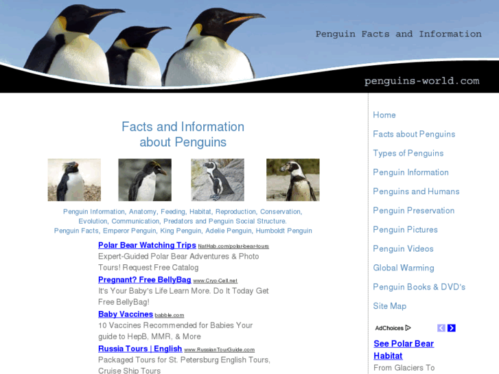 www.penguins-world.com