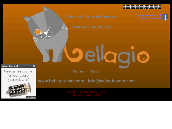 www.bellagio-cats.com