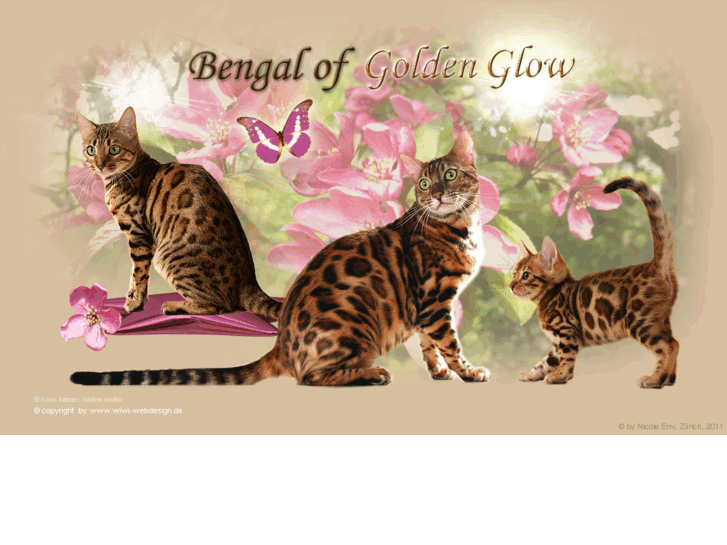 www.bengal.ch