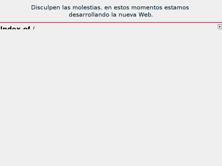 www.ccgruasbellver.es